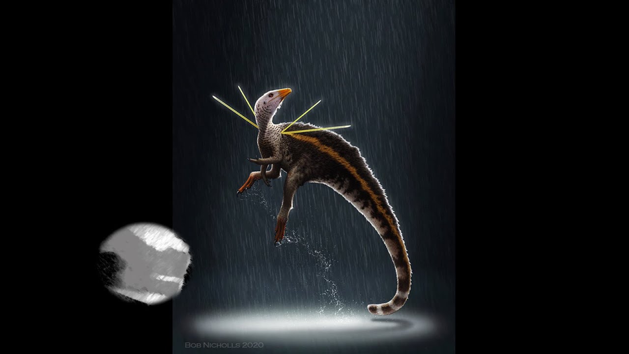 The (So Far) Saga of Ubirajara