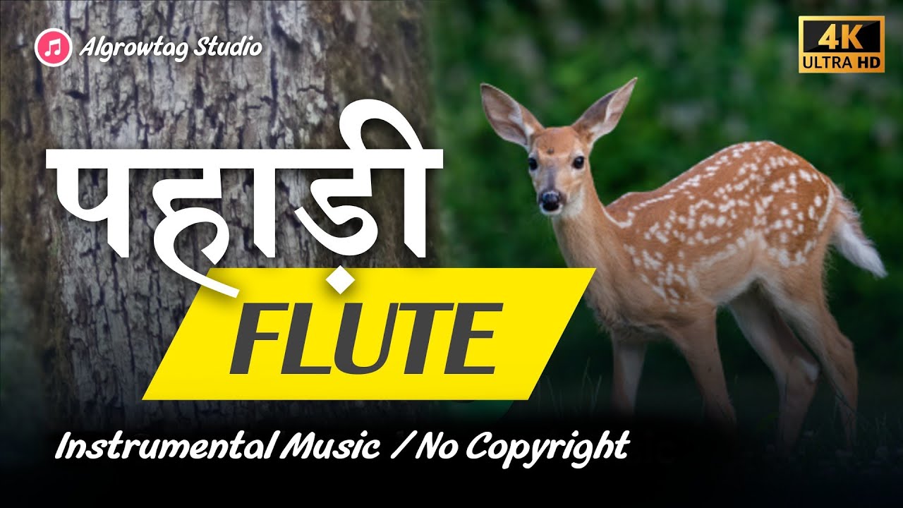 PAHADI FLUTE - Instrumental Music (No Copyright)