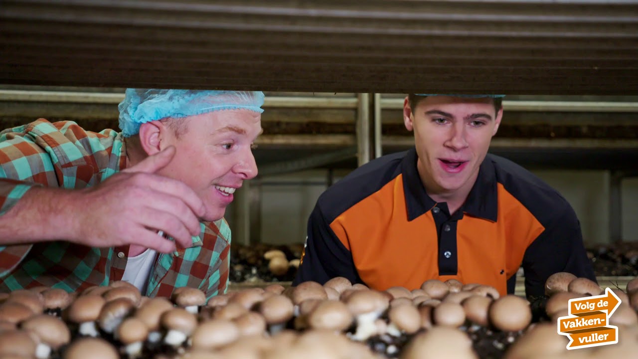 Champignons | Volg de Vakkenvuller | Coop