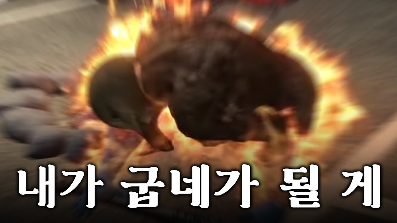 분탕둘기