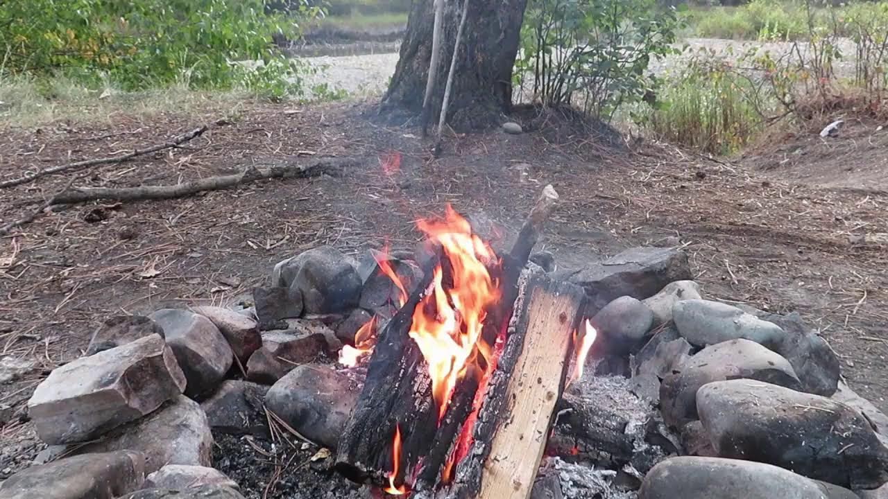 Have Fun In Nature Live: Relax by the Campfire