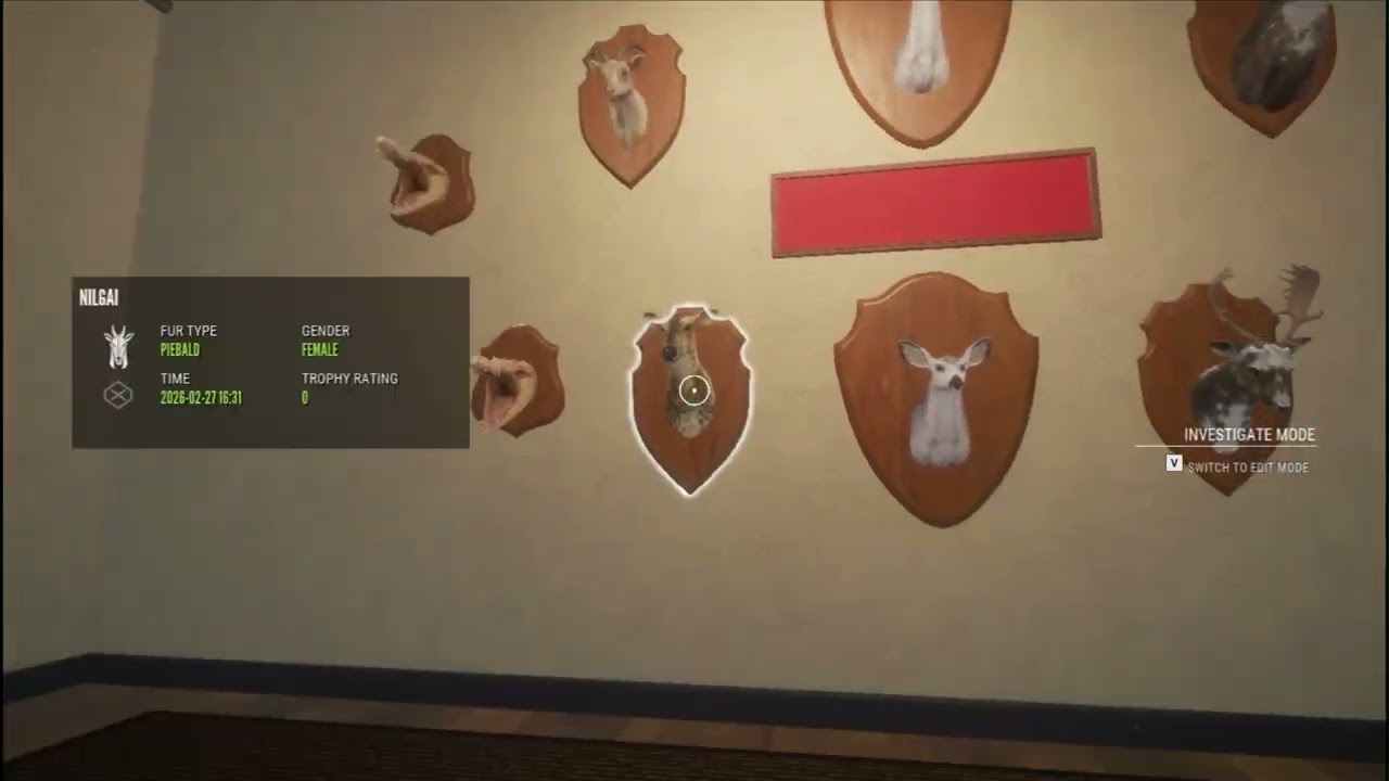 My insane 500+ hour lodge tour #thehunter #cotw