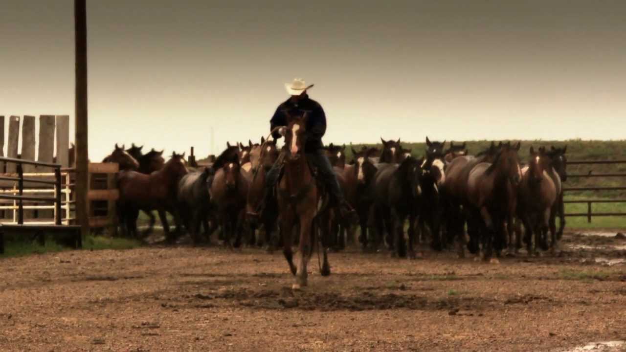 Calgary Stampede Ranch 100 years.mov