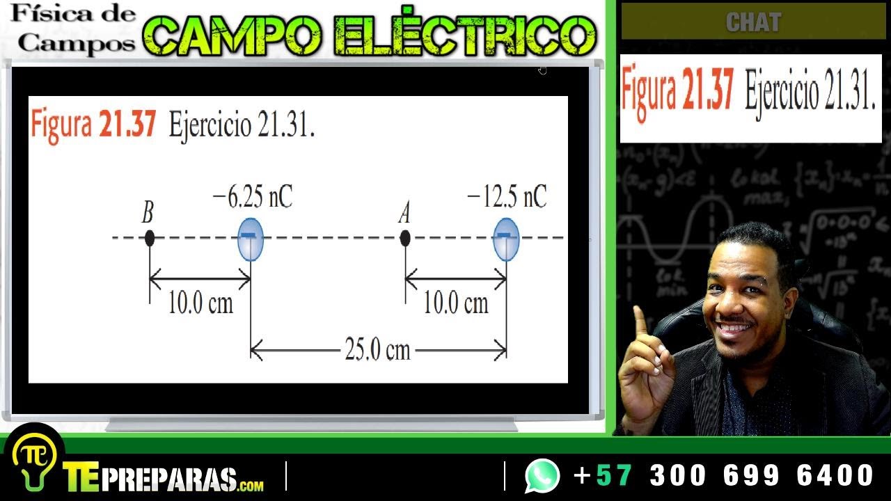 CAMPO ELÉCTRICO II Ejercicio 21.31 II Física Universitaria II Sears Zemansky (Ed. 12)