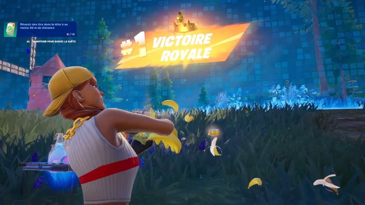 FORTNITE TOP1 COURONNE