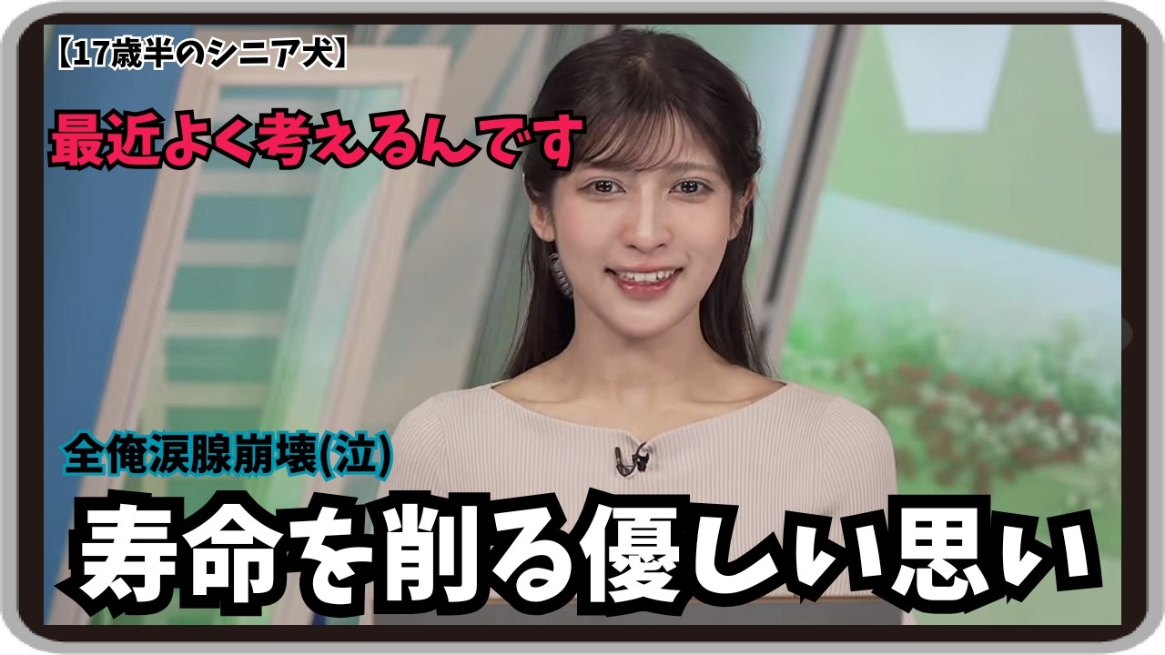 【岡本結子リサ】『最近よく考えるんです』「全俺が泣いた！17歳半のシニア犬を飼っている姫の寿命を削る優しい思い」【ウェザーニュース】20260220