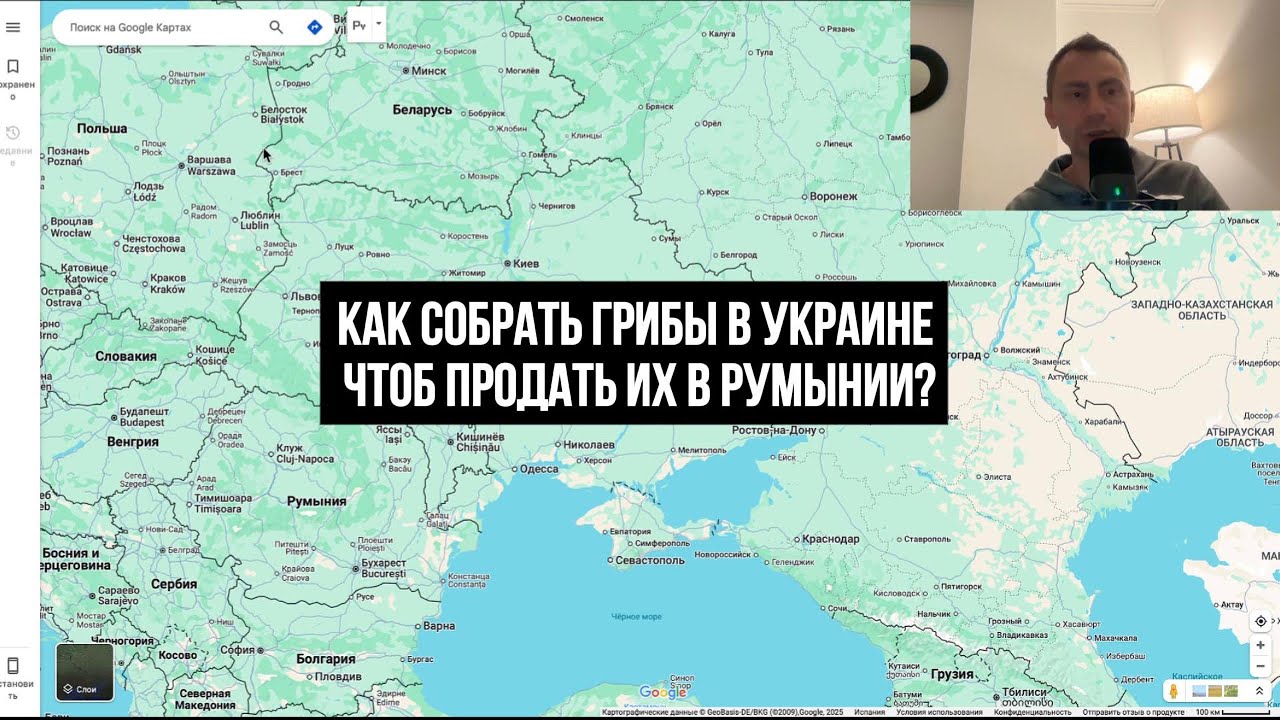 Как собрать грибы в Украине чтоб продать их в Румынии. 22.04.2025