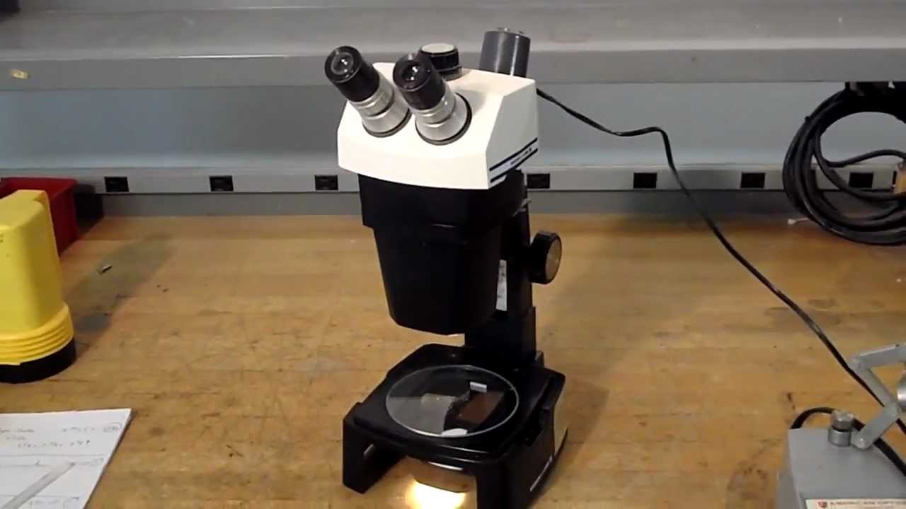Bausch & Lomb B&L Stereo Zoom 7 with stand and lights