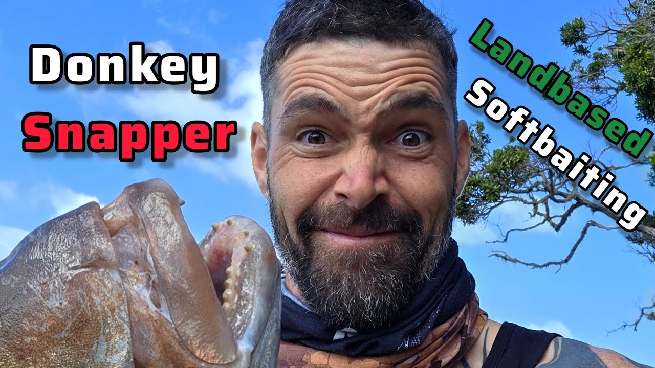 Donkey Snapper on Softbait [Catch and Cook] with Nova and Pierre 