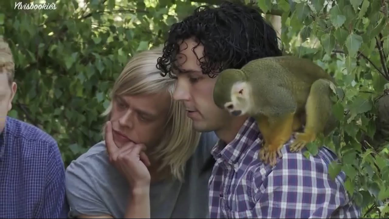 Ylvis - Hvem vil ha denne -  Episode 8 (Eng subs)