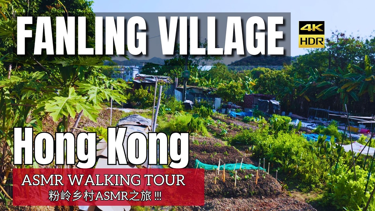 [4K HDR] Discover the Quiet Side of Hong Kong: A Village Walking Tour in Fanling 探索香港的宁静一面：粉岭乡村漫步之旅