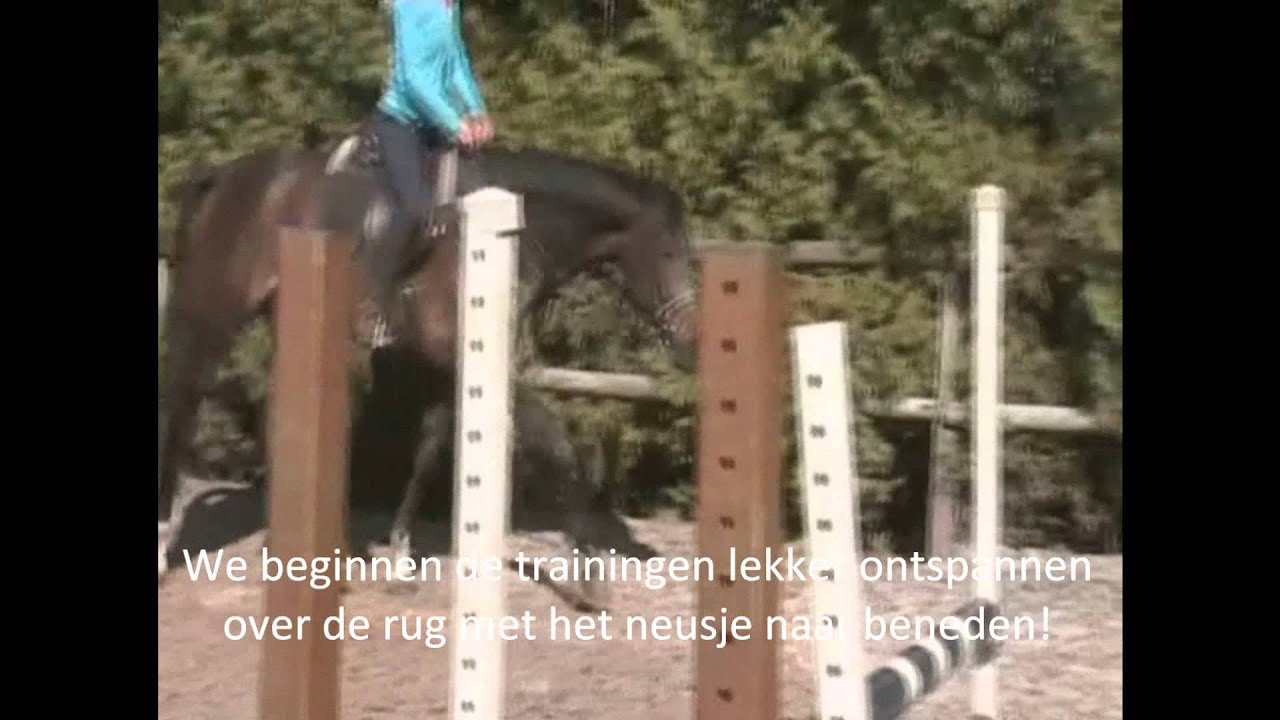 Training Emilia 2013 - Trainingsstal Faber - Rechtrichten Klassieke Rijkunst (Antoine de Bodt)