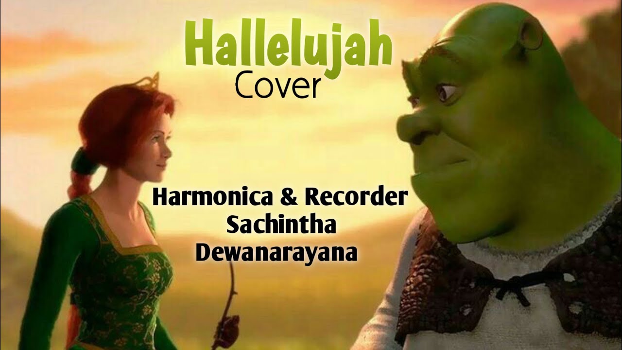 Hallelujah..  Harmonica & Recorder Cover ....