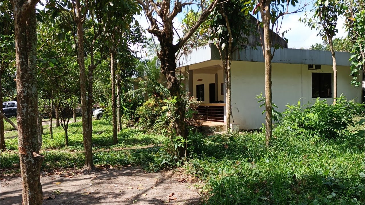 (P# 958) 3,100 sqms Farm Lot na may hot spring sa Bay, Laguna @ 11 Million price for sale