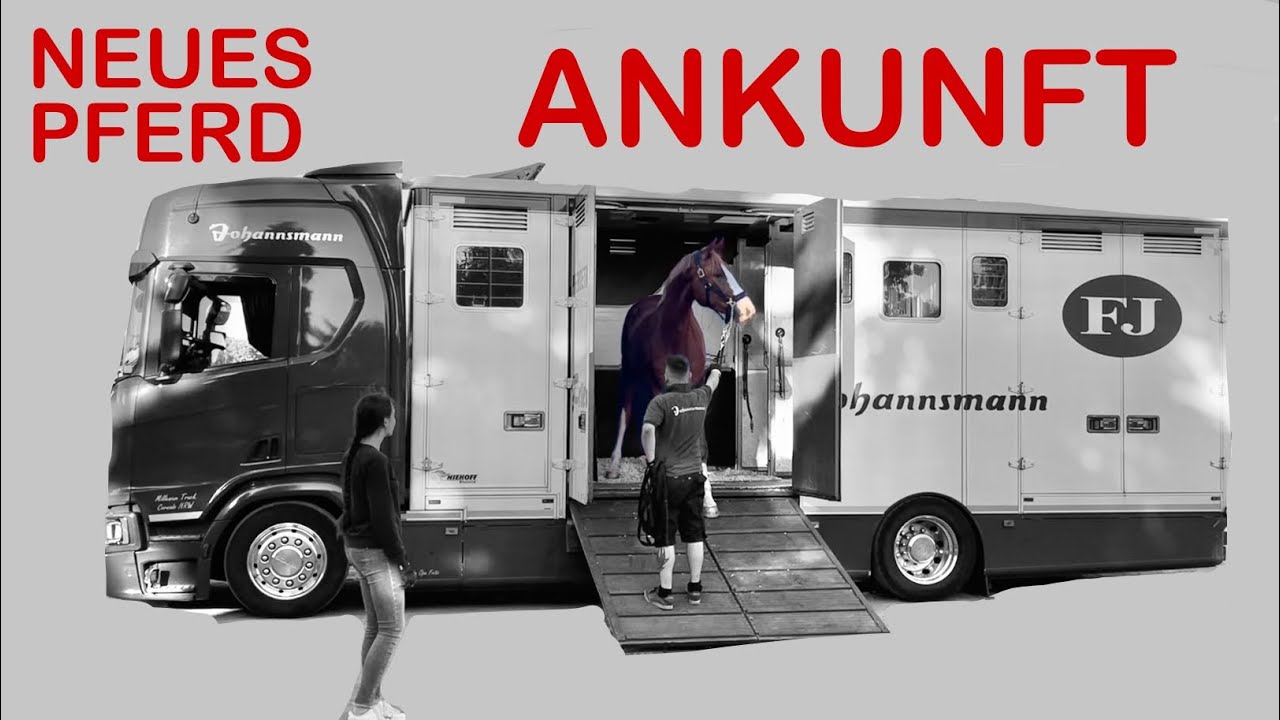 Mein Pferd zieht ein🐴🚗1 Woche mit meinem Youngster
