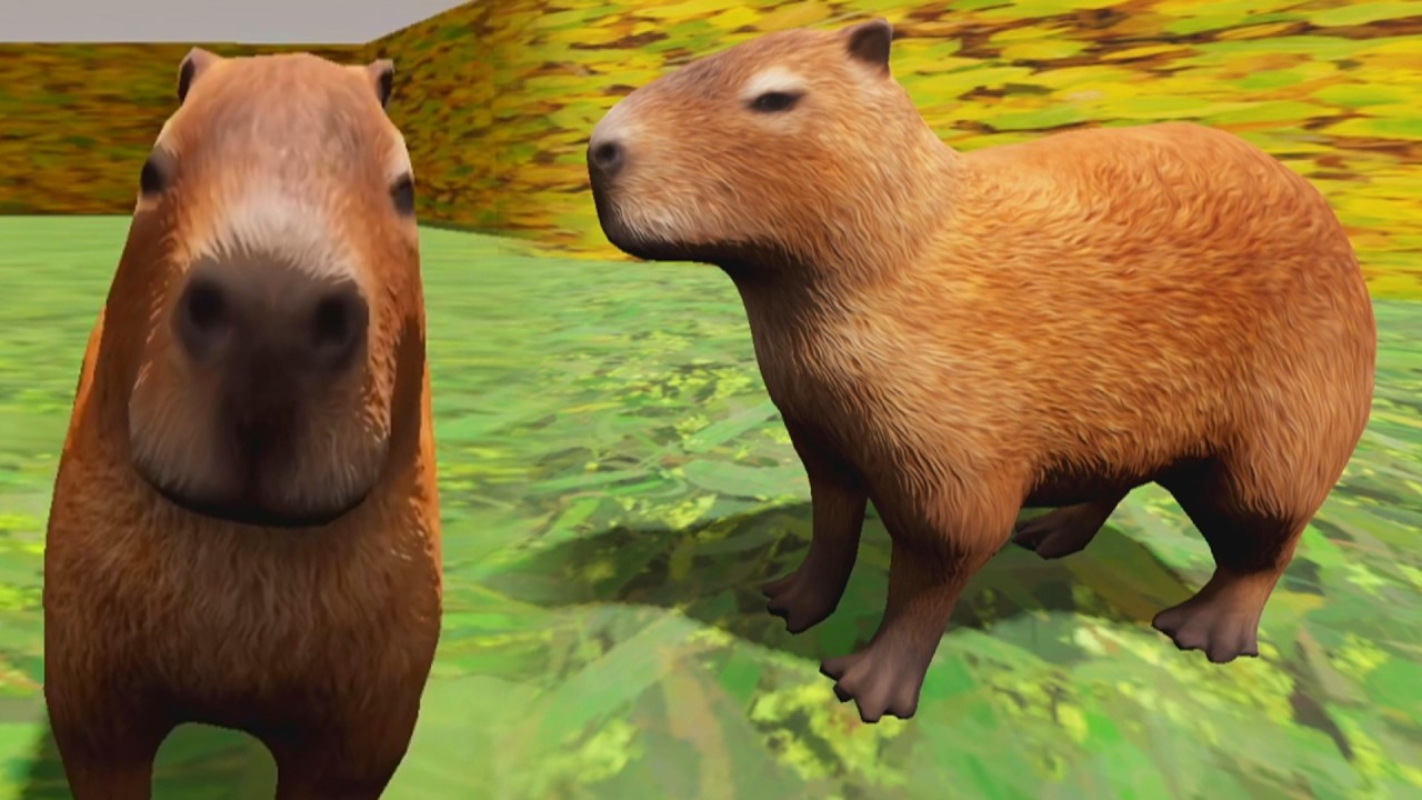 DON'T FEED THE CAPYBARAS....THEY ARE IN A CULT