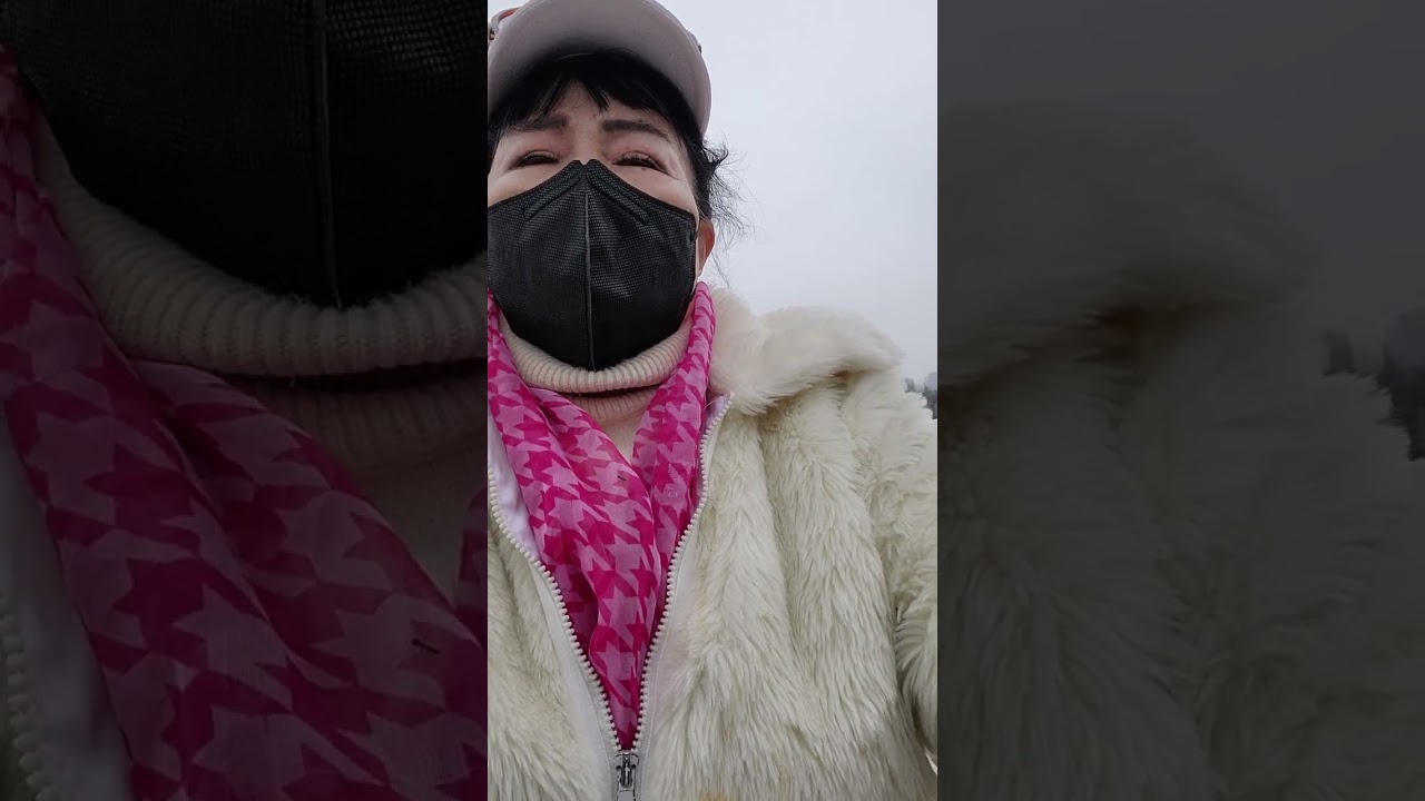 2026년 2월 15일