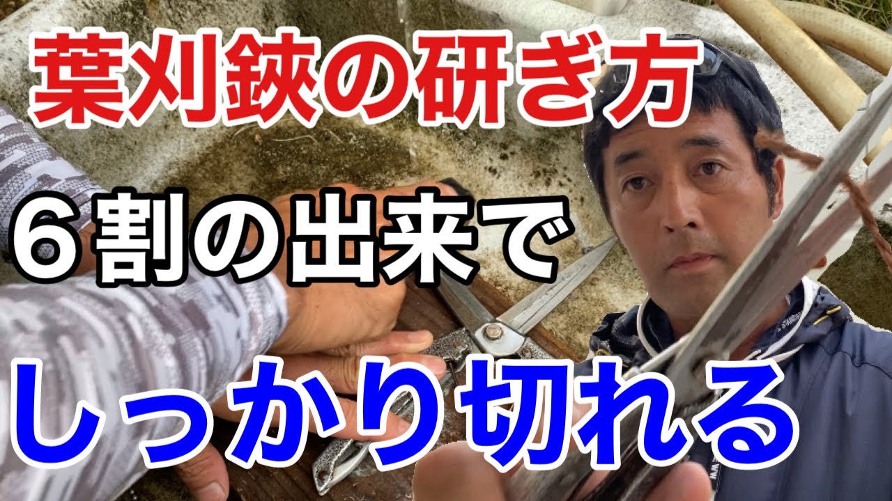 【簡単に研ぐ】誰でも出来る鋏の研ぎ方教えます【植木屋ケンチャンネル】