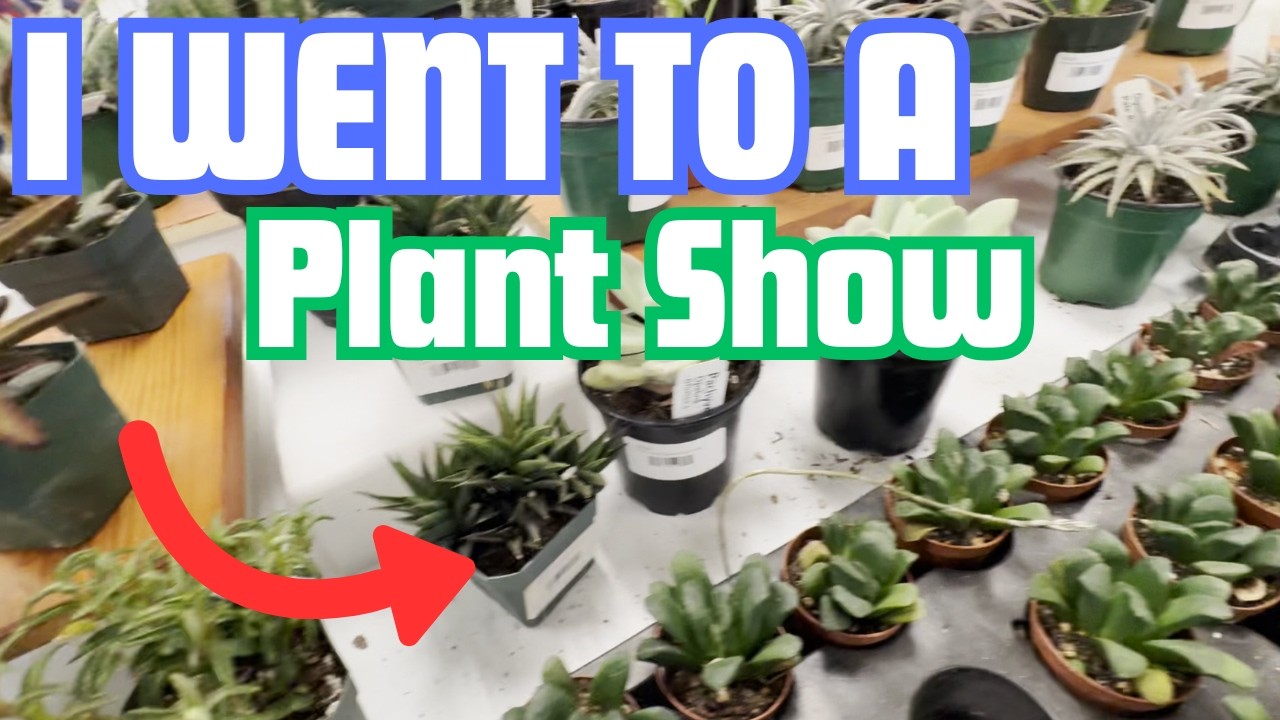 Я побывала на выставке растений&hellip; Вот что я там увидела 🌱🎪
