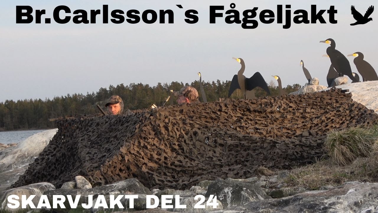 Skarvjakt Del 24