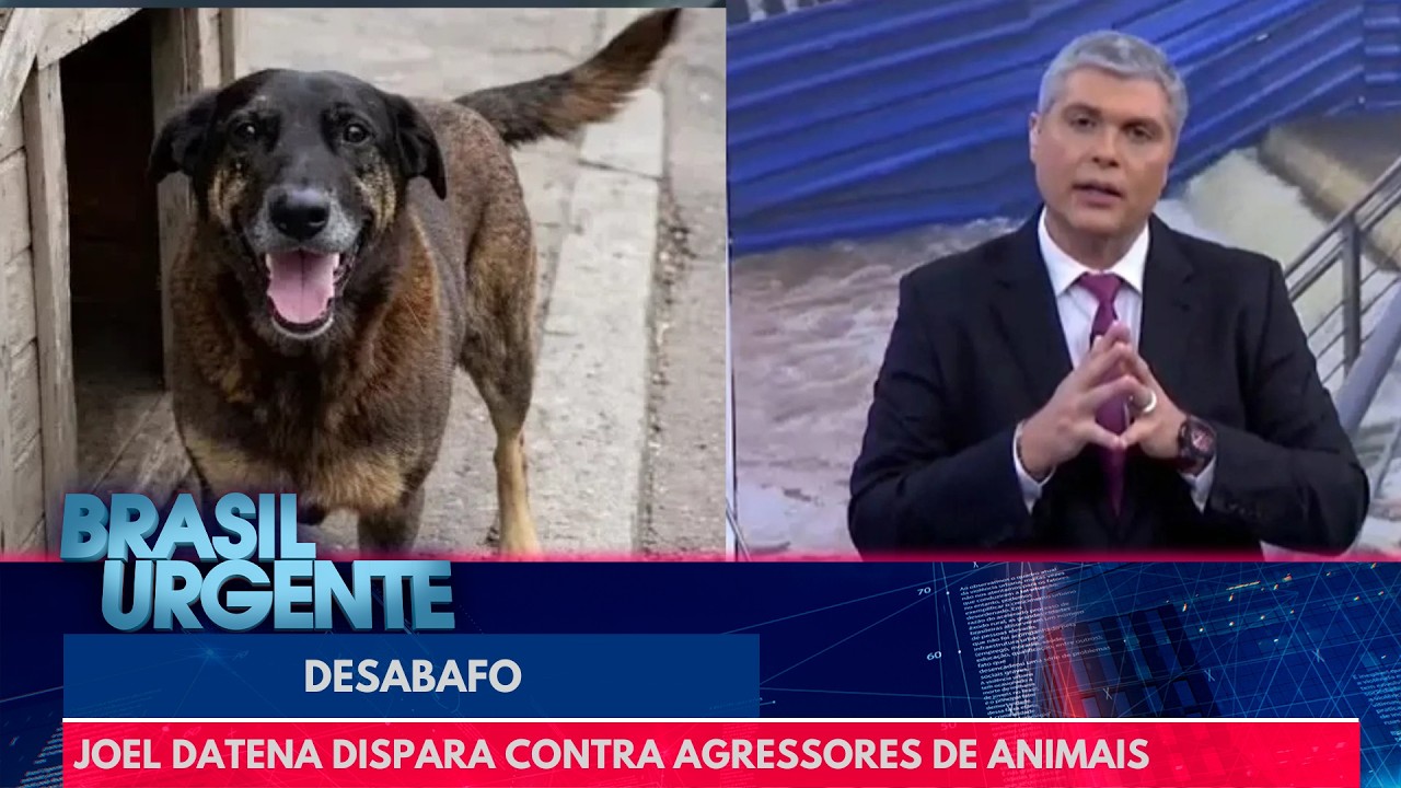 Joel Datena se revolta com agressores de animais | Brasil Urgente