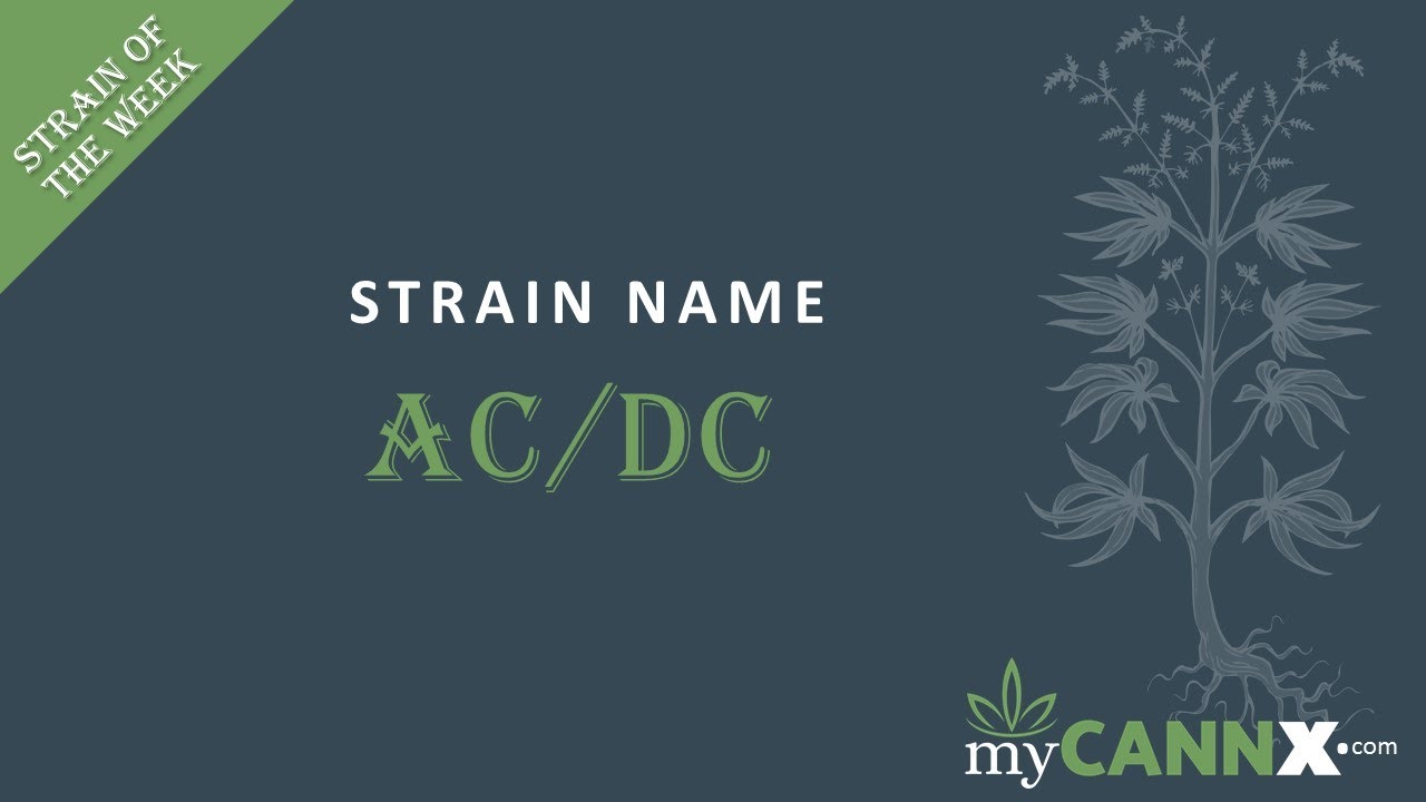 Strain of the Week - ACDC