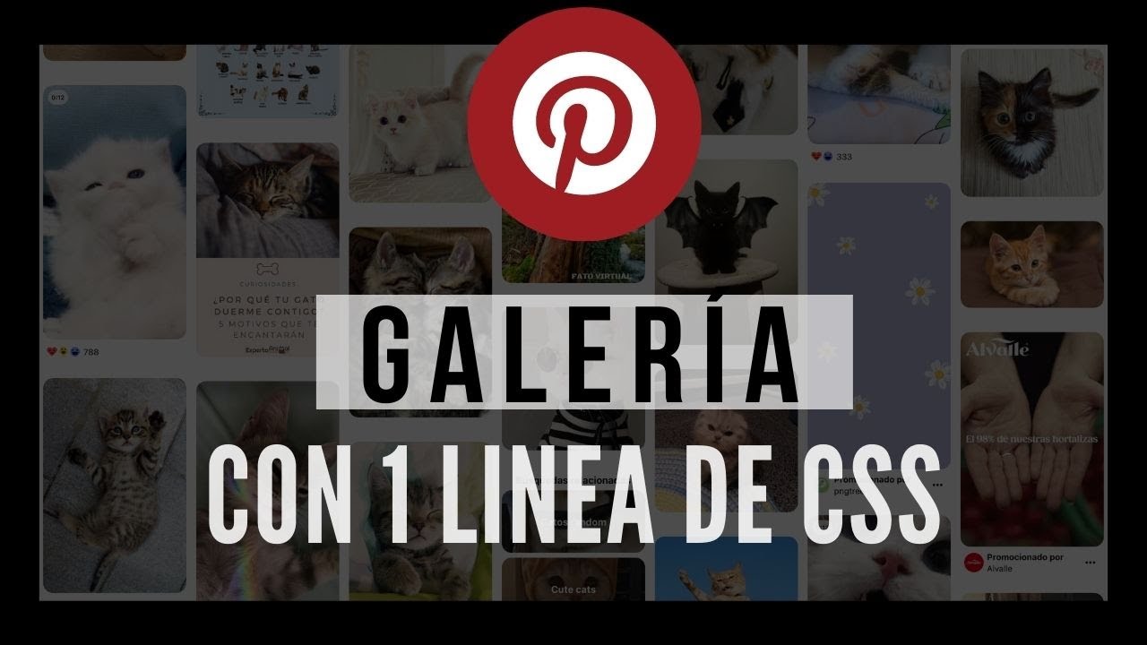📌Masonry Layout Galería al estilo PINTEREST con 1 LÍNEA DE CSS | Taller paso a paso ◀︎