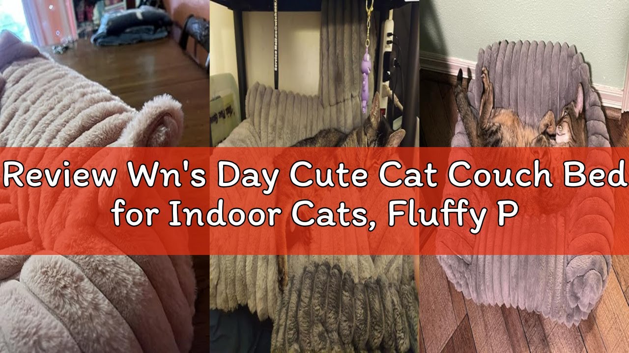 Review Wn's Day Cute Cat Couch Bed for Indoor Cats, Fluffy Pet Cat Sofa with Premium Soft Corduroy F