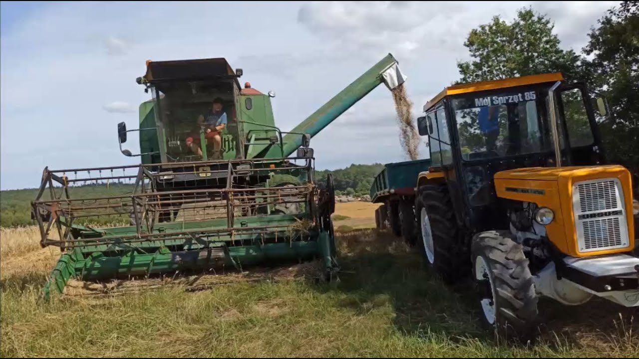 Żniwa 2020 John deere 965H + Ursus c360 4x4 turbo.