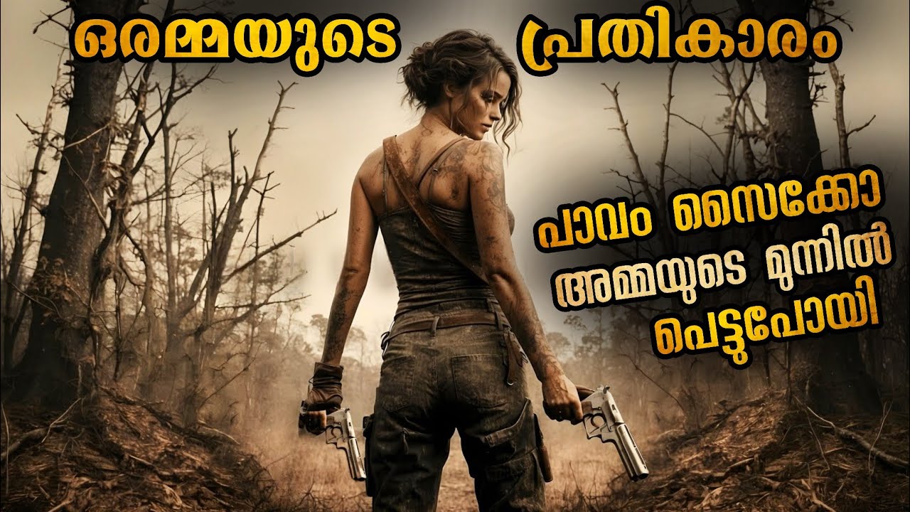 ഈ സീരിയൽ കില്ലറെ പിടിച്ചത് ഒരു സാധാരണ അമ്മ 🔥🔥 കിടിലൻ ത്രില്ലർ @malluexplainer185