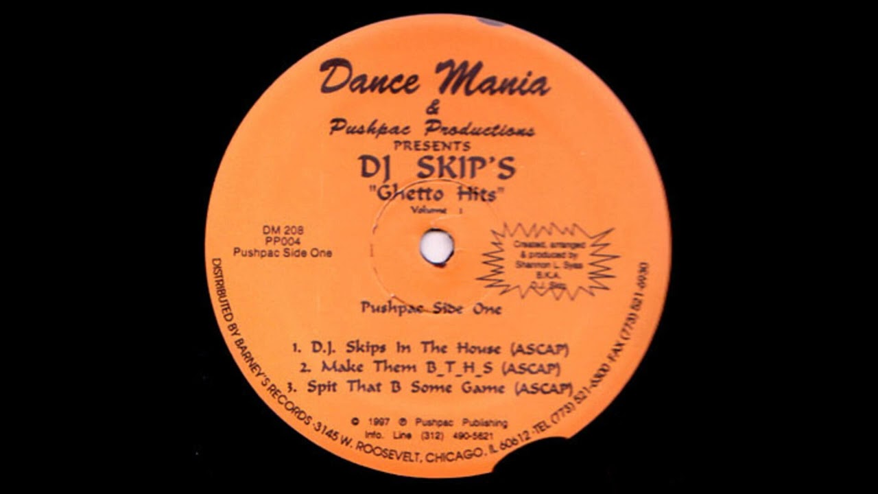 DJ Skip - D.J. Skips In The House (DM208)