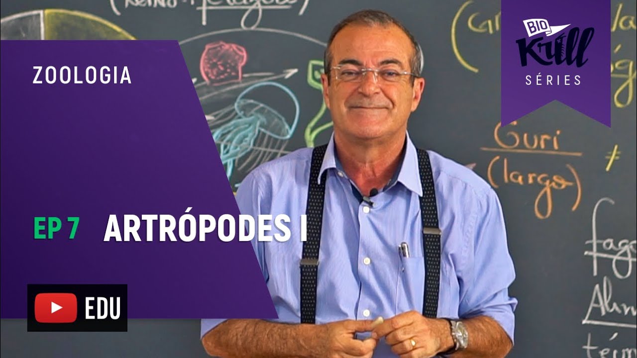 Artrópodes I (Zoologia - EP7) I Biokrill Séries