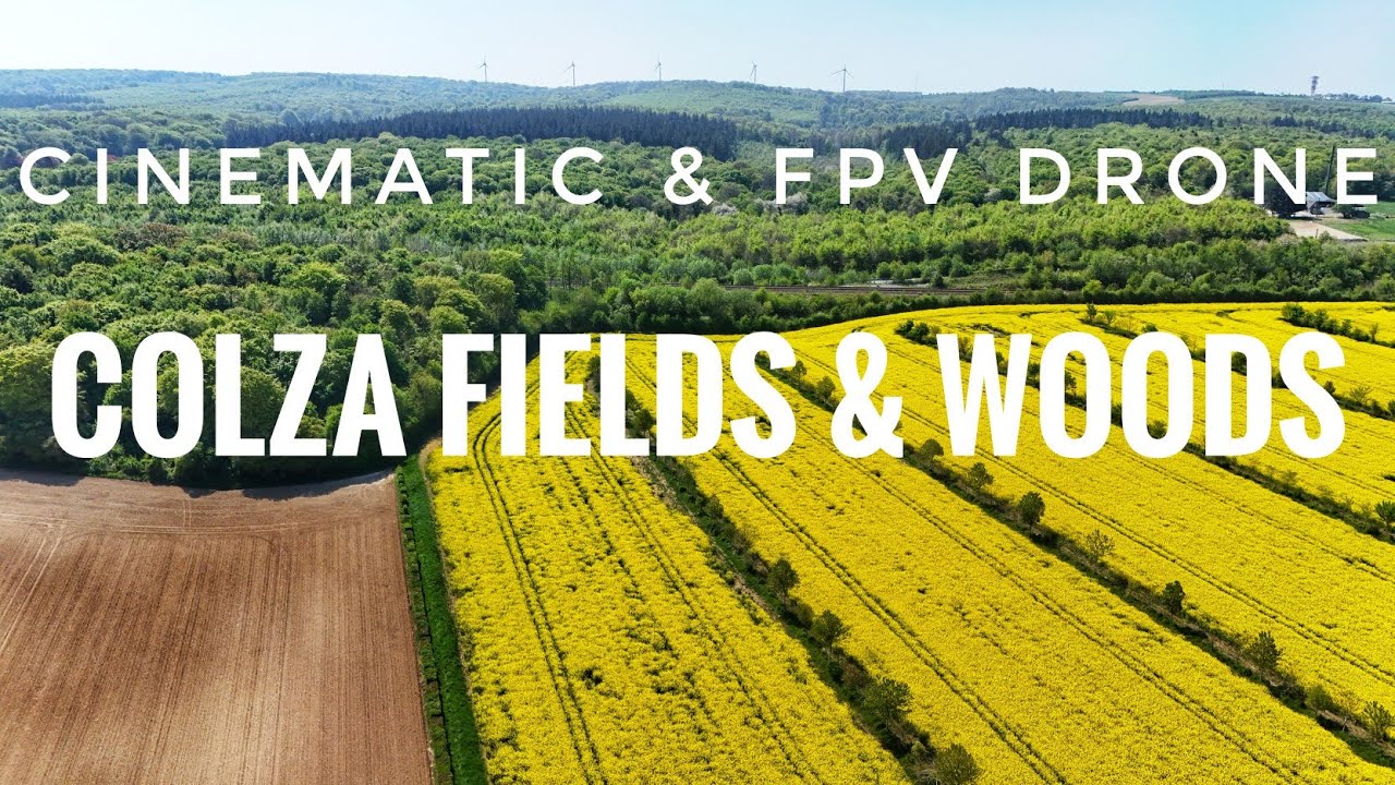 Colza fields & woods cinematic & FPV drone DJI AVATA