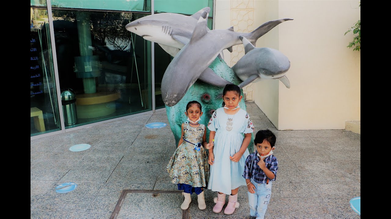 Sharjah Aquarium | Places to Visit in Sharjah | Deep Sea Fish Aquarium | Coral Reef Fish | UAE Coral