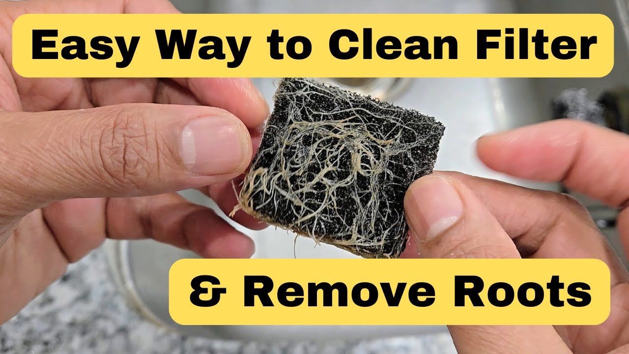Краткое руководство: Очистка фильтра насоса и удаление корней #гидропоника #аэросад #садоводство