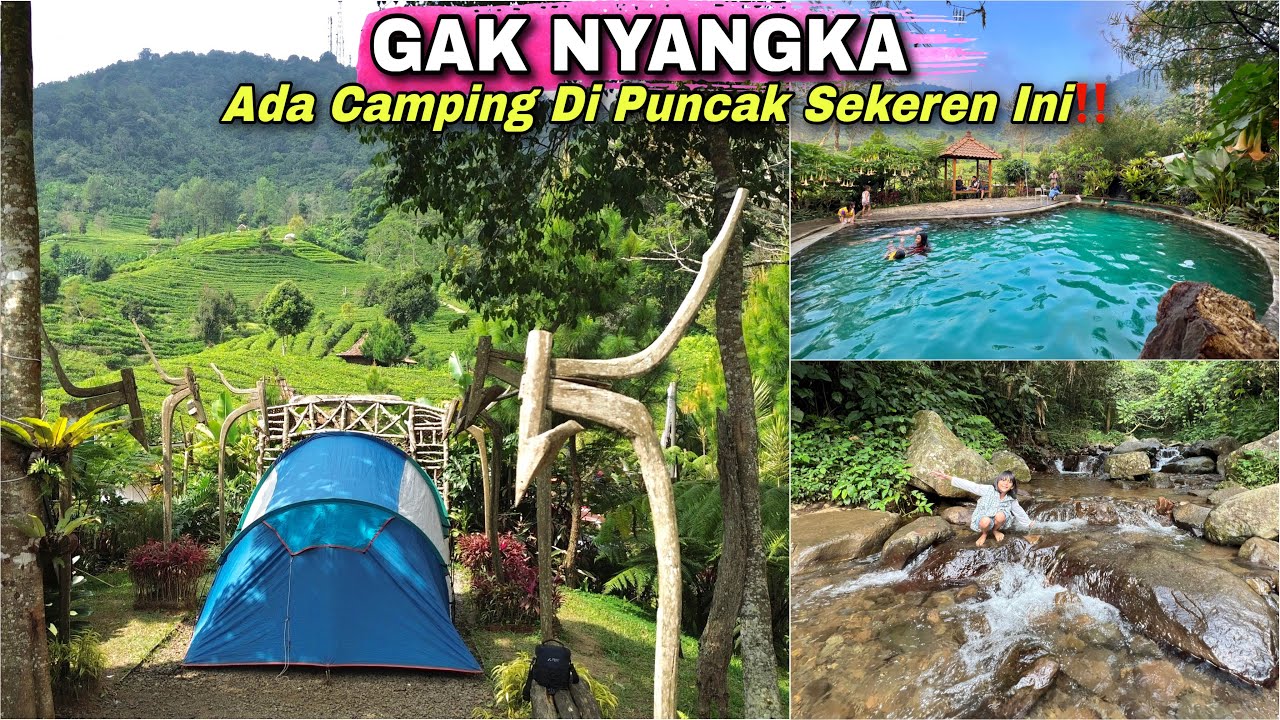 GAK NYANGKA‼️Nemu Camping Ground Di Puncak Bogor Sekeren Ini | Pinus Ecopark