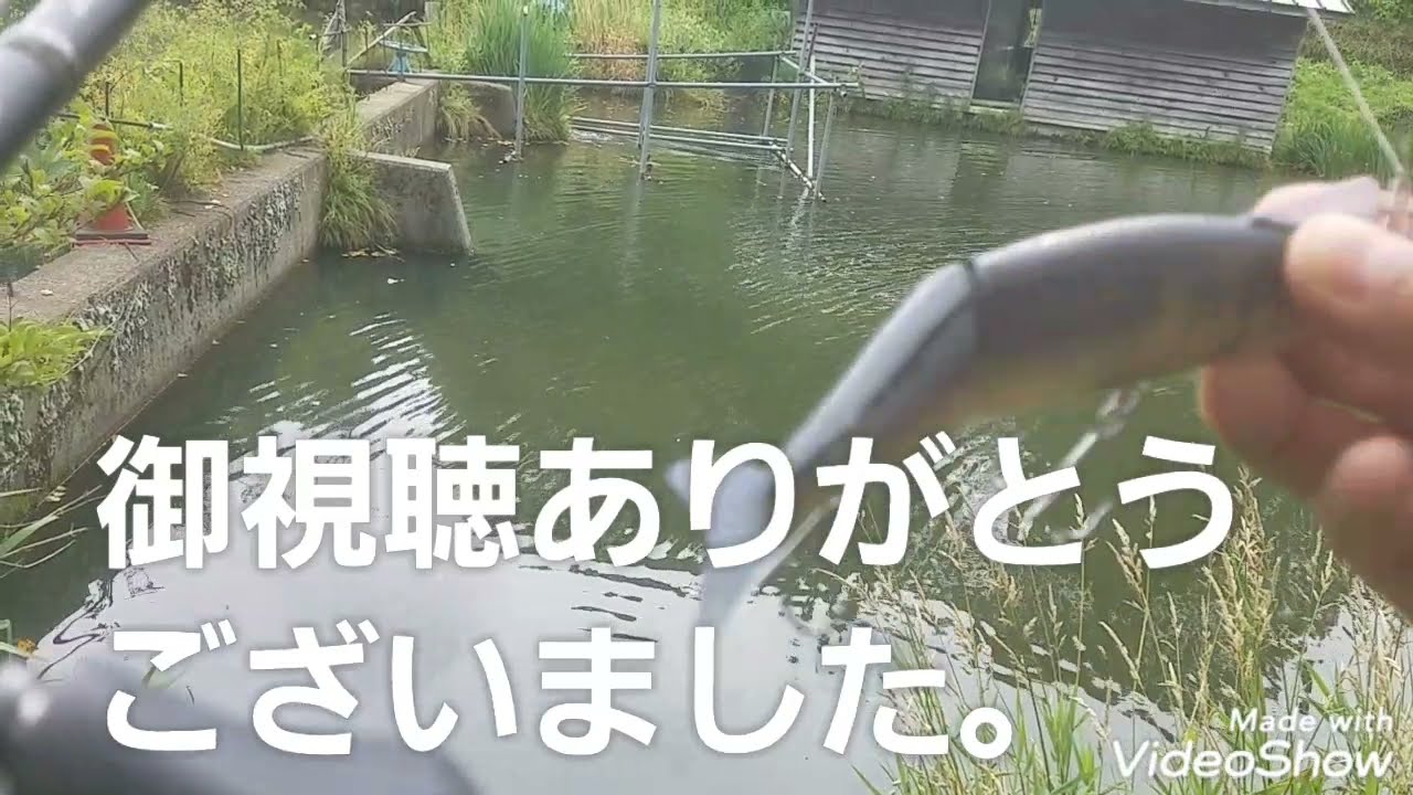 DAIWAのモアザンレイジー投げて見ました。