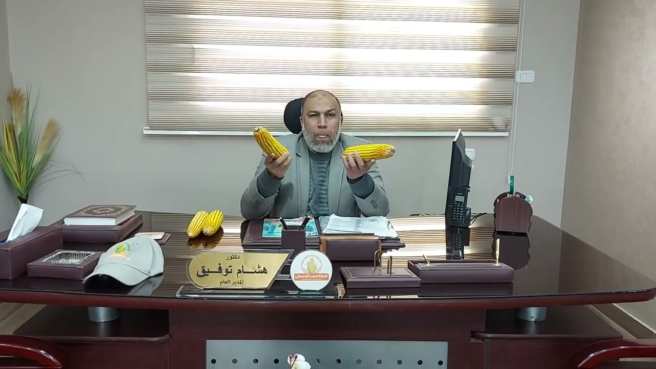 كيف تحصل على أعلى محصول من الذرة الشامية.... الجزئ الأول