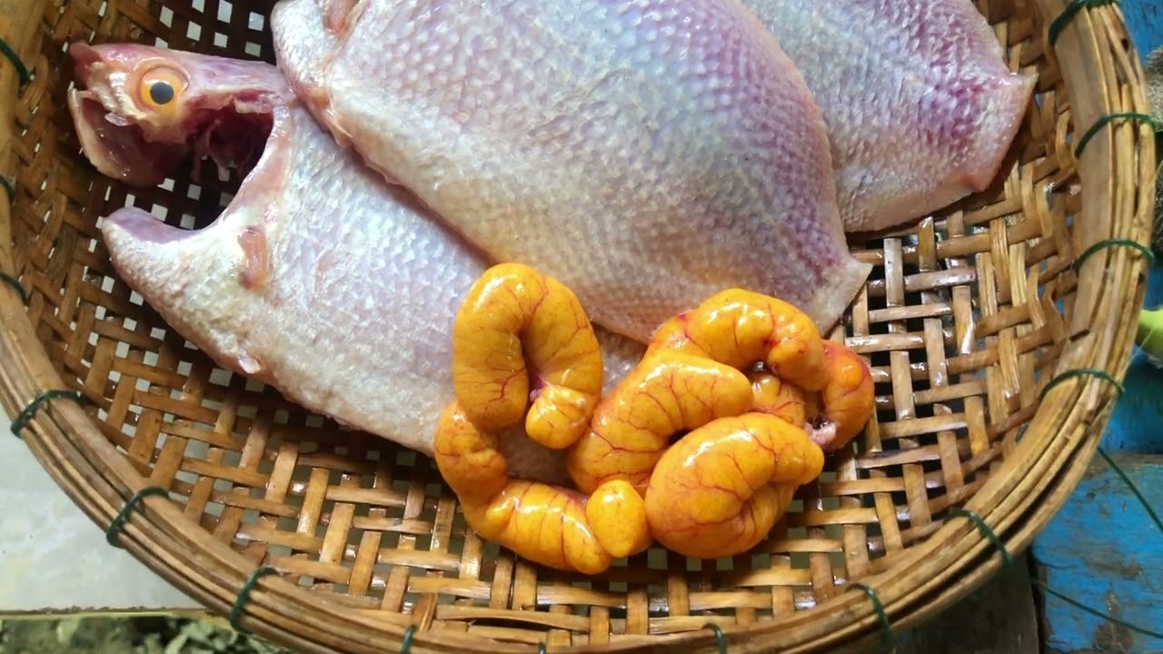 Trồng rau nuôi cá- Miền Tây yên bình!