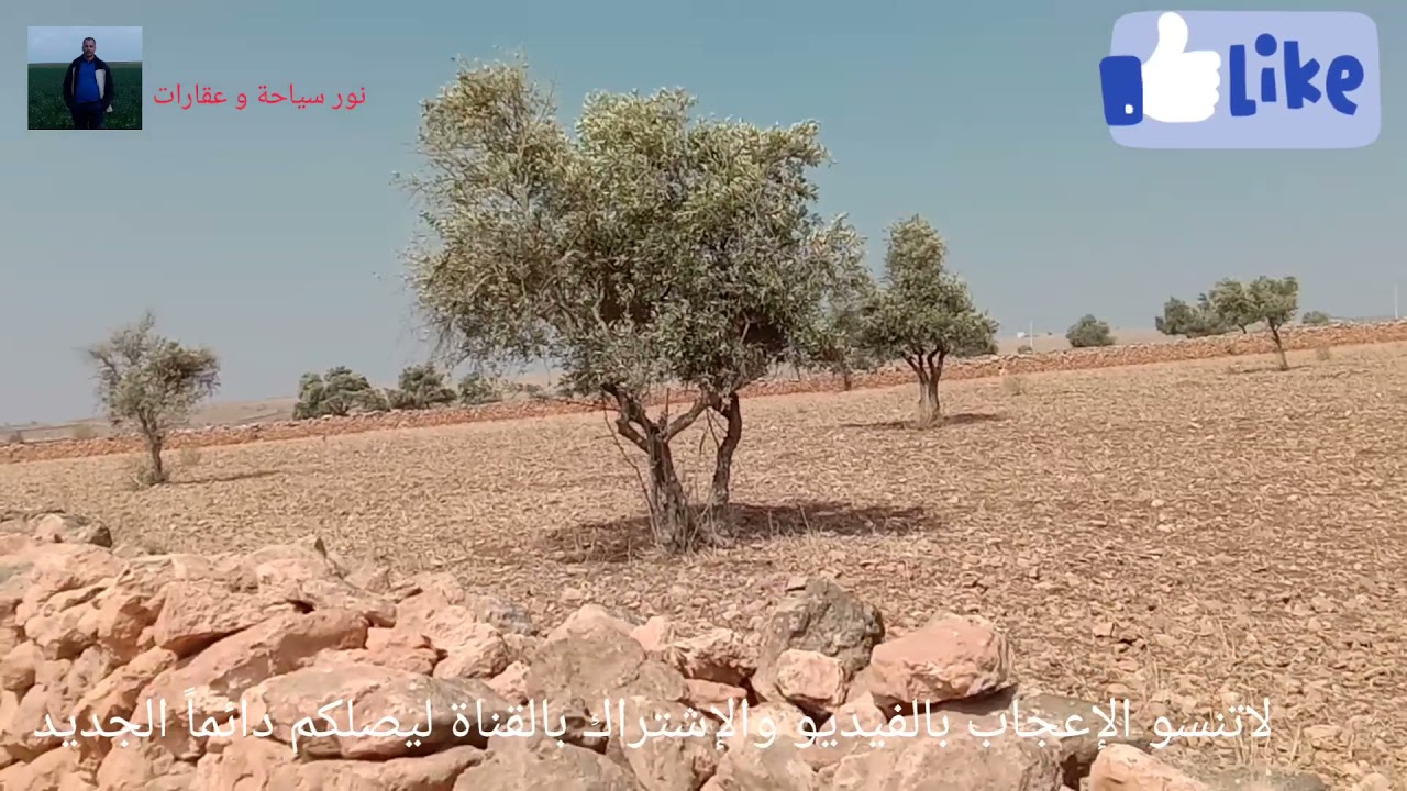 قطعة أرضية للبيع عدلية مساحتها 16 خدام في مجي إقليم الصويرة ثمن مليون و60 الخدام 0669161891