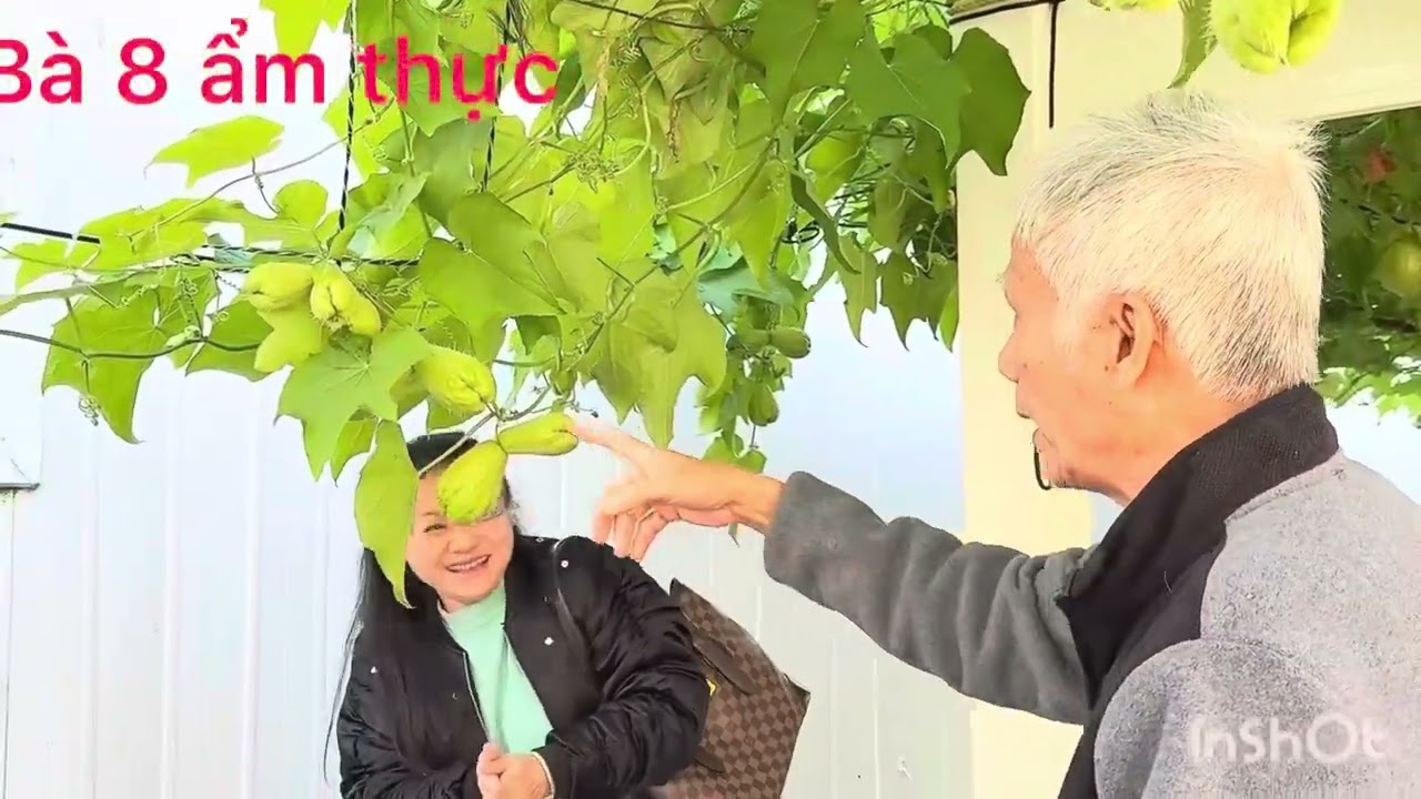Đi nhà bạn ăn ké và kéo nhau đi hái rau bà 8 ẩm thực 