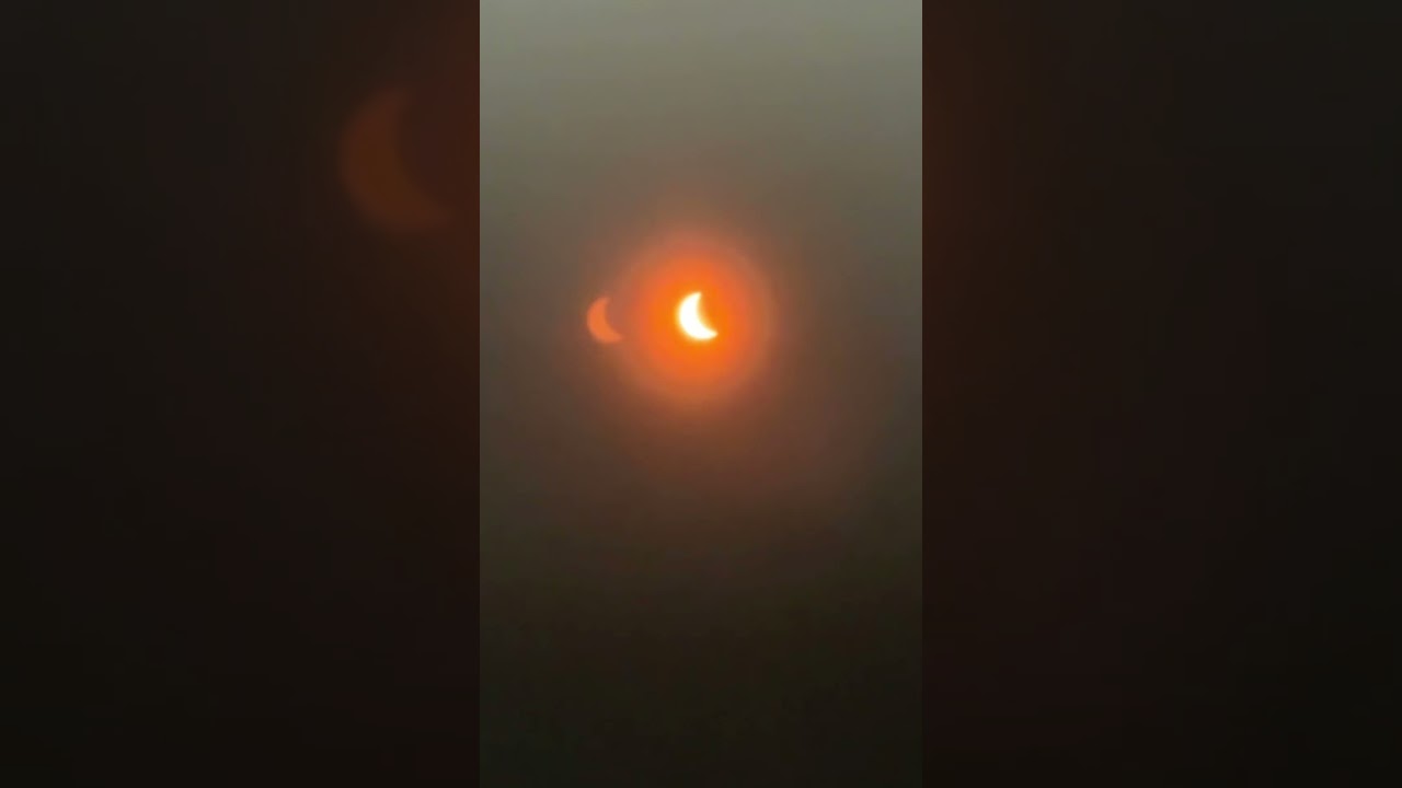 Partial Eclipse in Florida 4/8/2024 #shorts