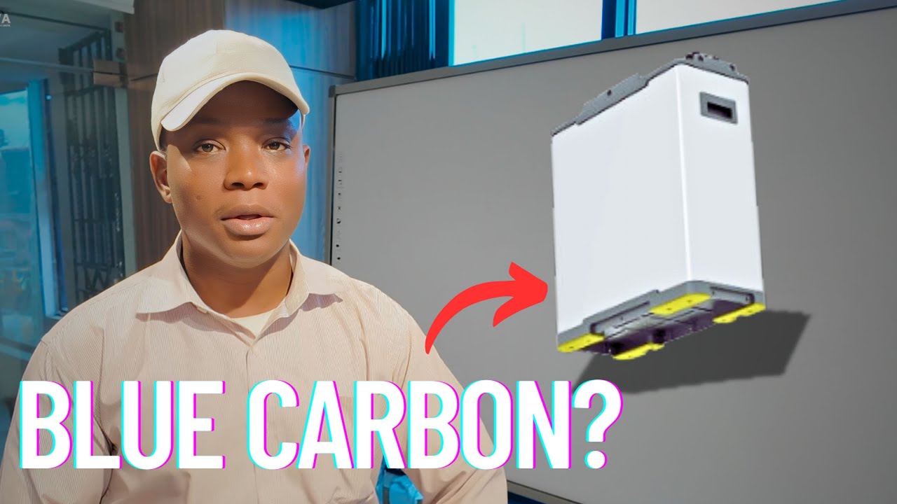 My First Look at Blue-Carbon Lithium Battery