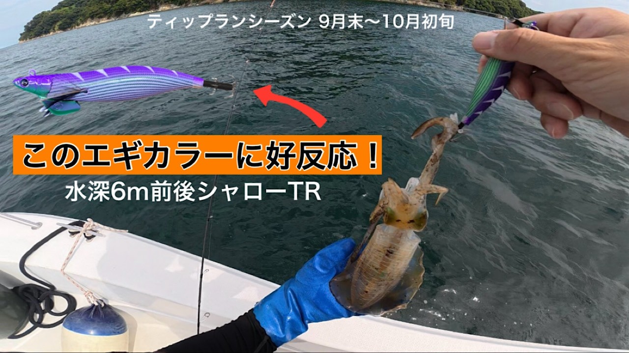 【ティップラン】荒れた天気の中で、このカラーだけにイカが好反応！