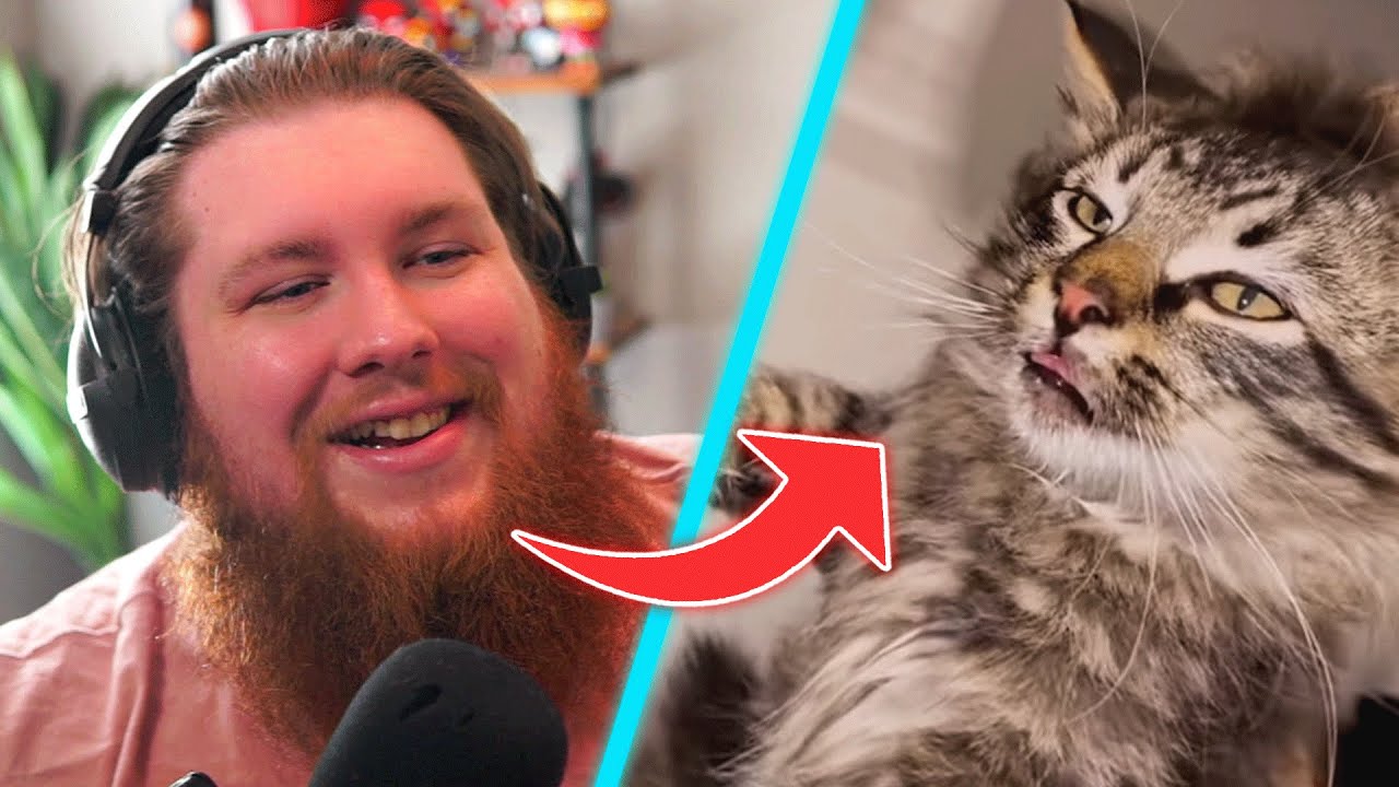 ASHDOG REACTS TO DAILY DOSE OF INTERNET!