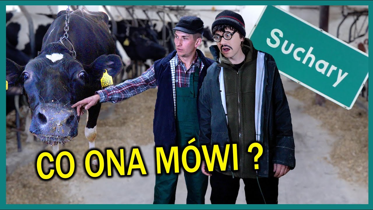 ROZUMIEM CO M&Oacute;WIĄ ZWIERZĘTA - Suchary #276