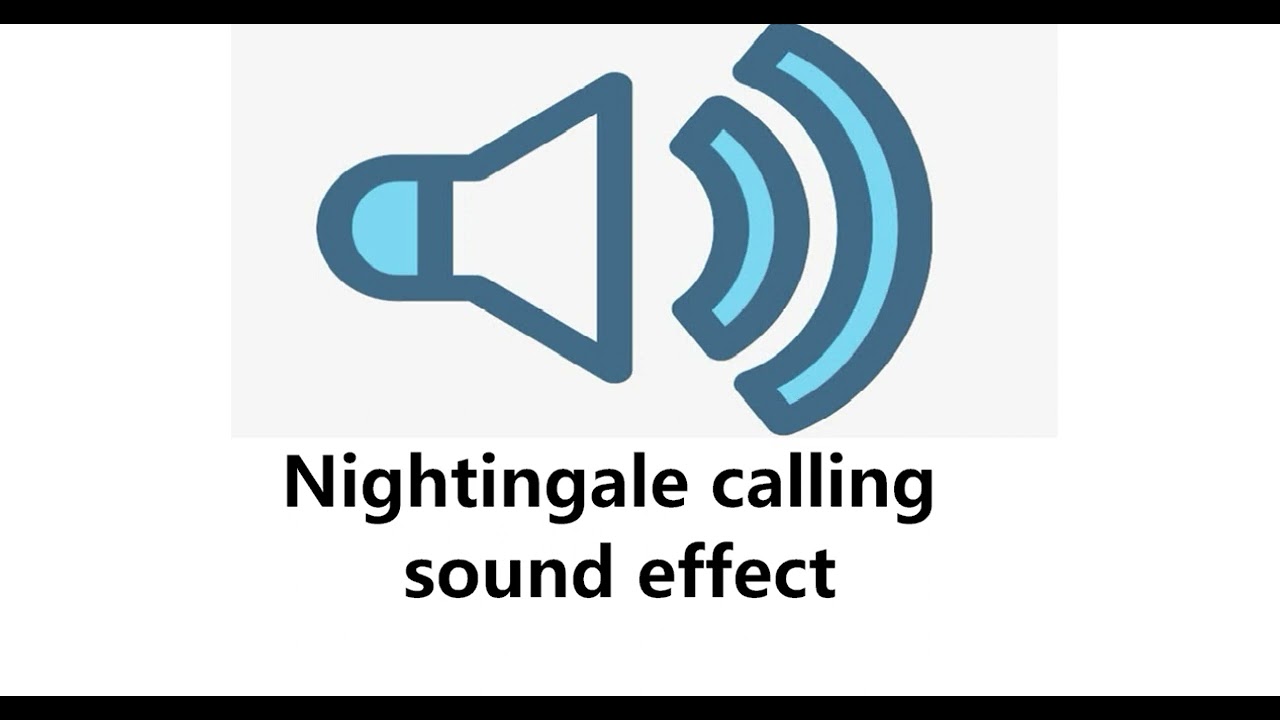 Nightingale calling sound effect