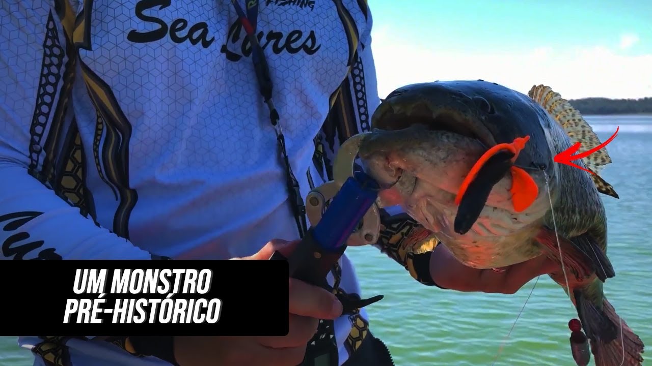 A MAIOR TRA&Iacute;RA QUE J&Aacute; VI NA REPRESA BILLINGS - UM MONSTRO PR&Eacute;-HIST&Oacute;RICO