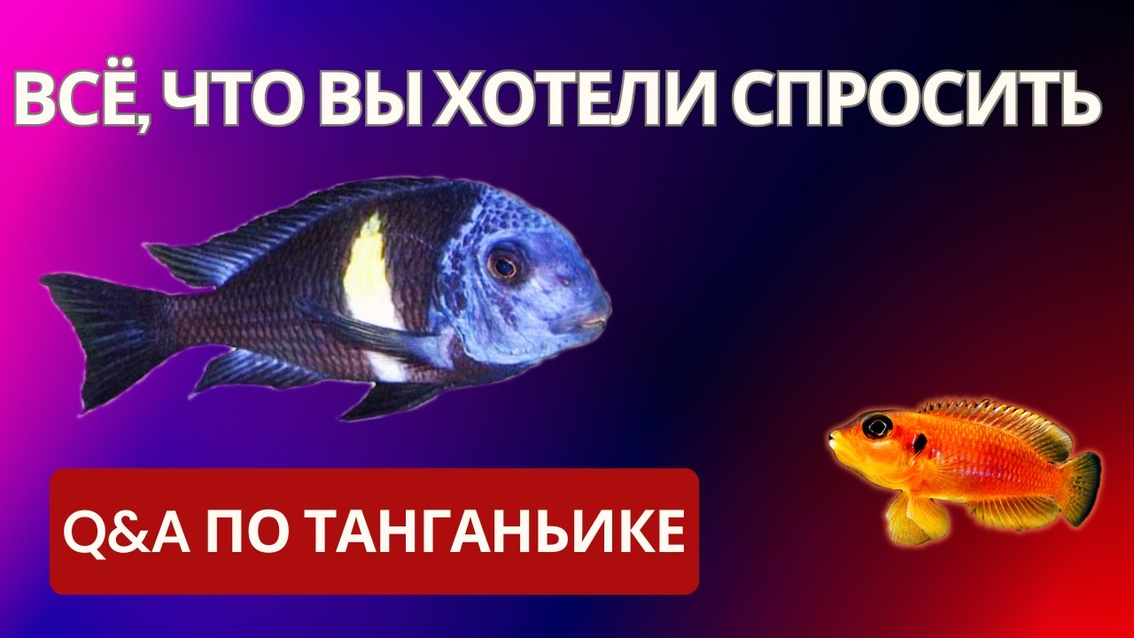 вопросы по Танганьике | Tanganyika FAQ для аквариумистов