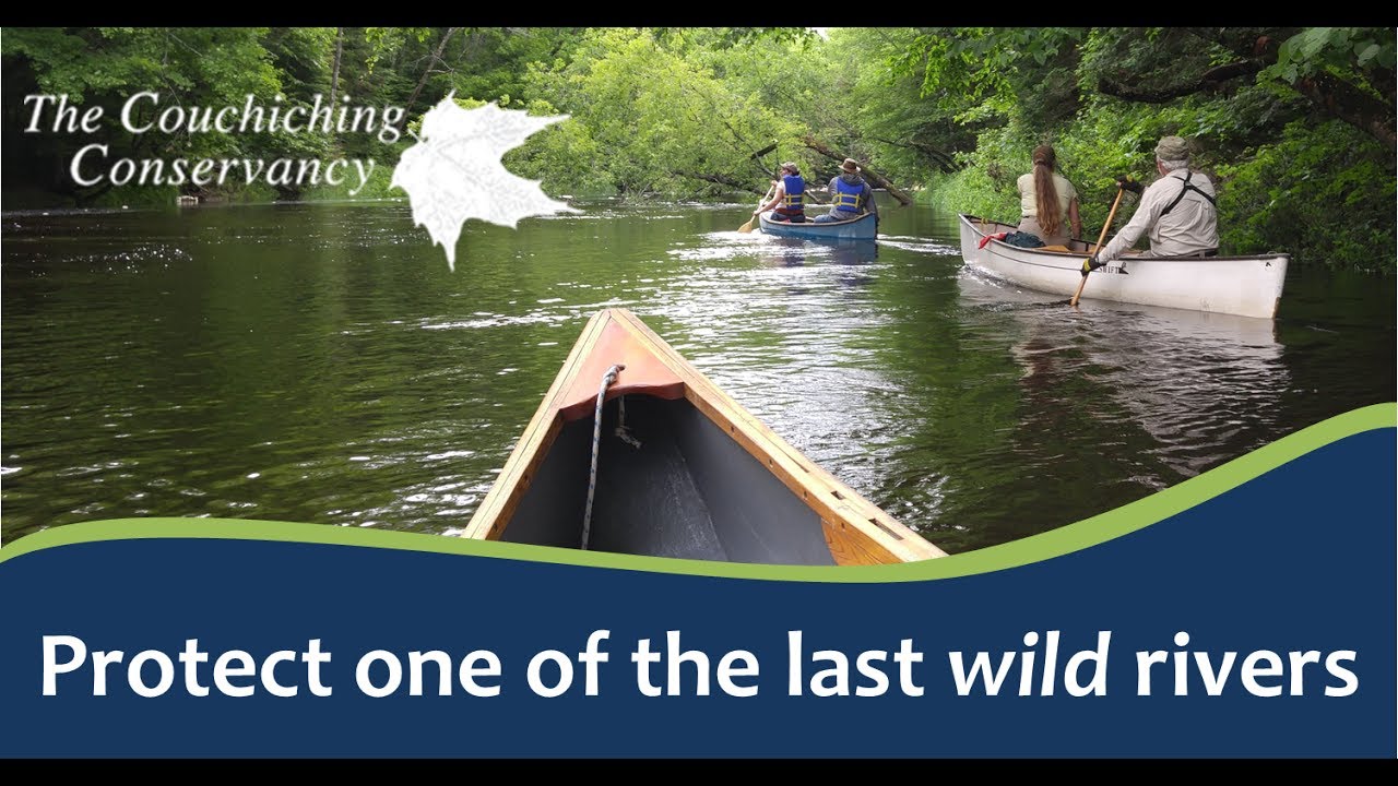 You can help protect the Black River Wildlands